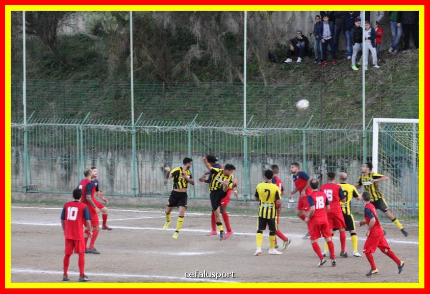 181111 Cepha_Milazzo 252_tn.JPG